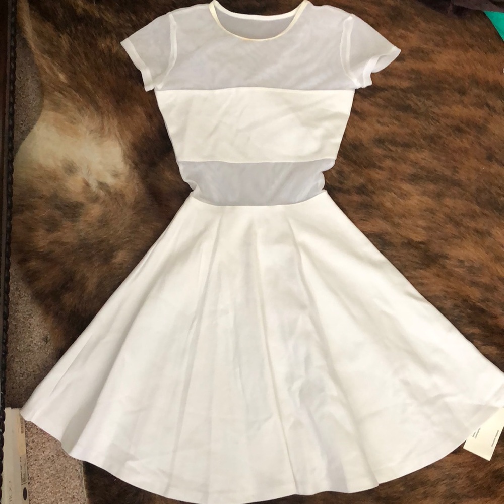 Fit and Flair White Mesh Dress